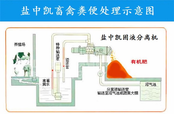 小优视频APP黄官网网站